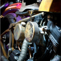 DSC4213